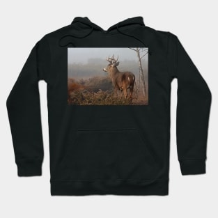 Big Buck - White-tailed Deer Hoodie